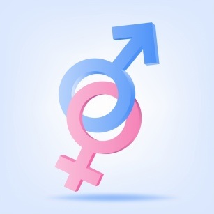 Dwa symbole graficzne ogólnie przyjętego podziału płci. Niebieskie męski – kółko ze strzałką, różowy żeński – kółko z plusem. Obydwa są ze sobą połączone, przenikają przez siebie.